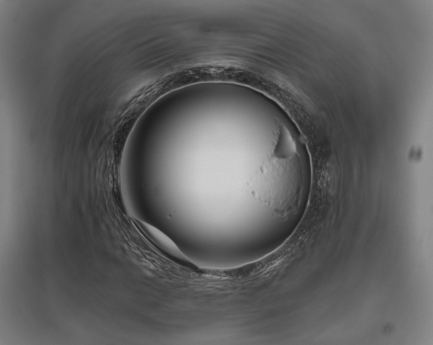 X0000095901014200801111204
