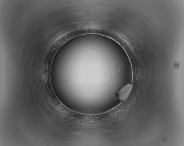 X0000095901015200801111204