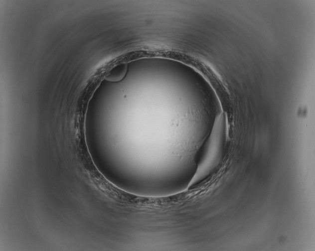 X0000095901016200801111204