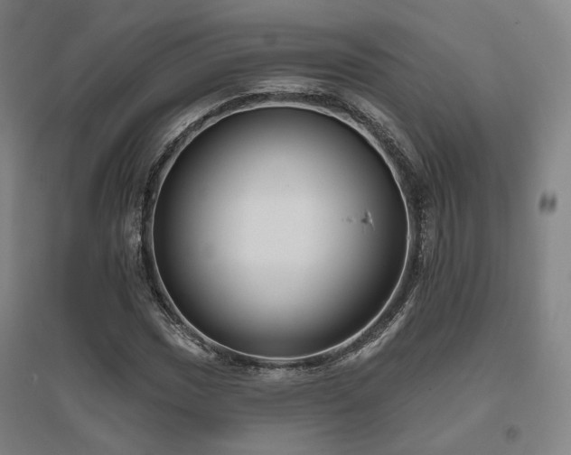X0000095901017200801111204