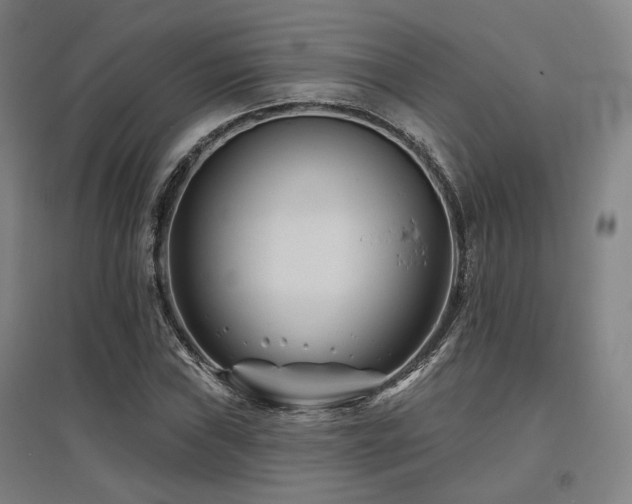 X0000095901019200801111204