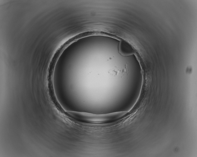 X0000095901020200801111204
