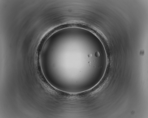 X0000095901021200801111204