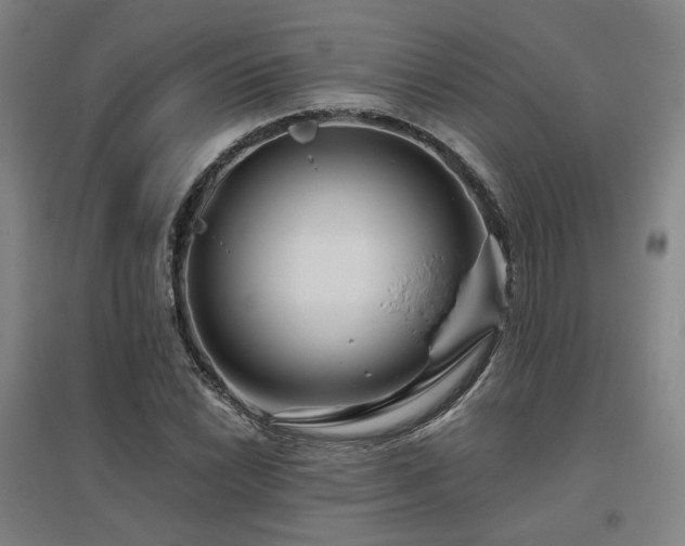 X0000095901022200801111204