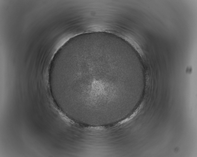 X0000095901023200801111204