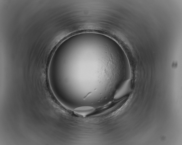 X0000095901025200801111204