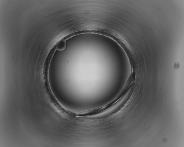 X0000095901026200801111204