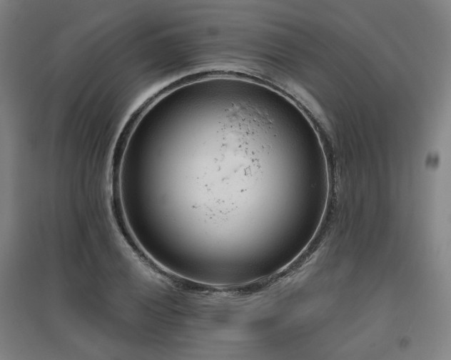 X0000095901028200801111204