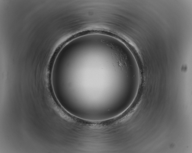 X0000095901029200801111204