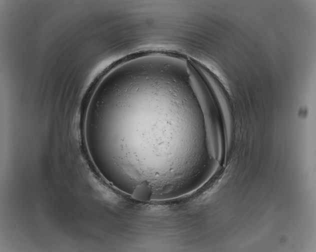 X0000095901030200801111204