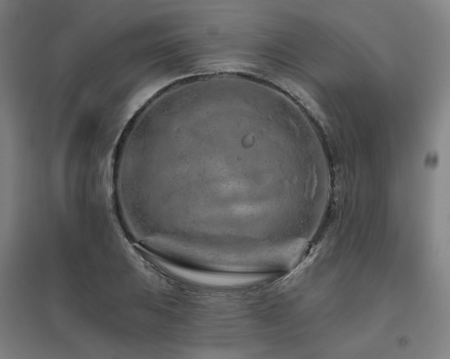 X0000095901031200801111204