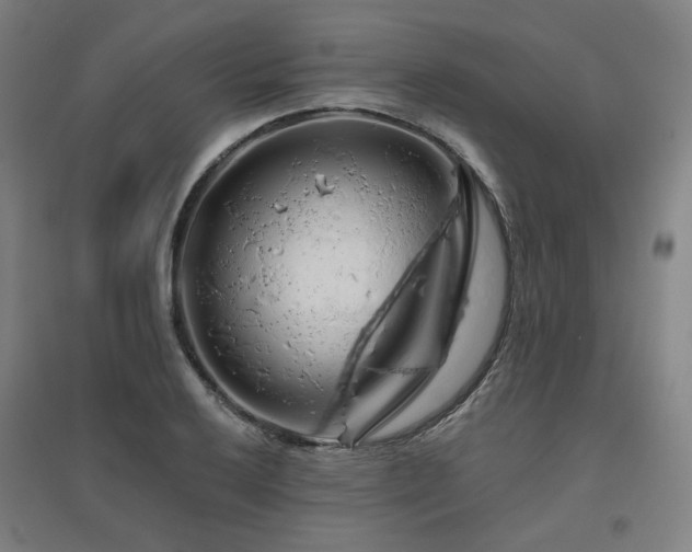 X0000095901032200801111204