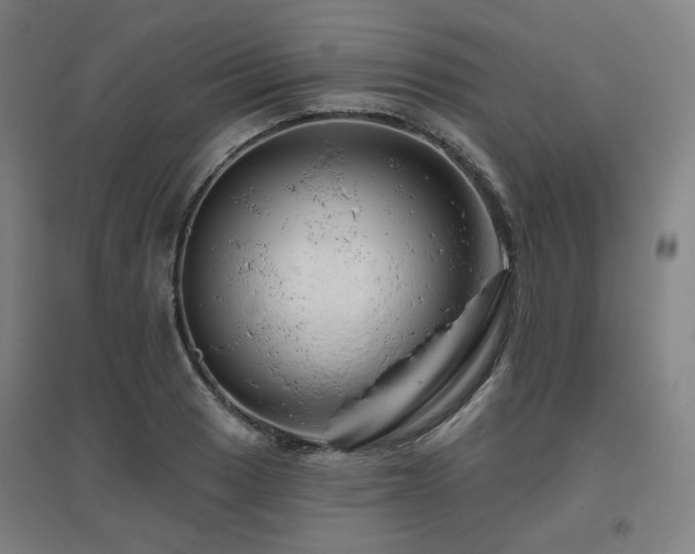 X0000095901033200801111204