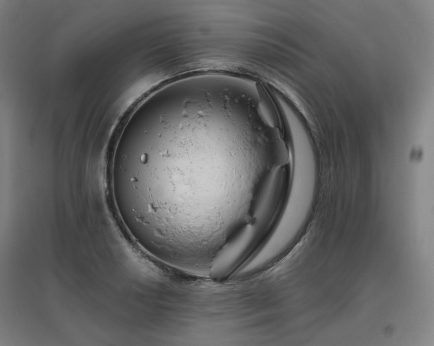 X0000095901034200801111204
