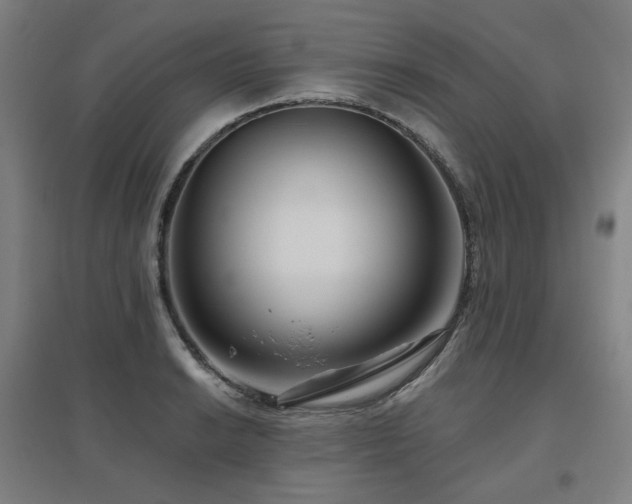 X0000095901038200801111204