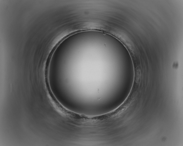 X0000095901039200801111204