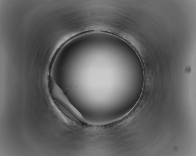 X0000095901040200801111204
