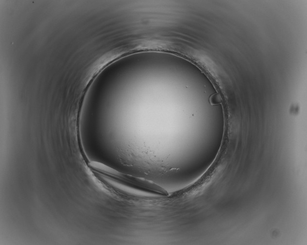 X0000095901041200801111205