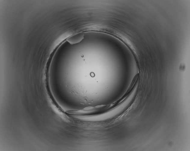 X0000095901042200801111205