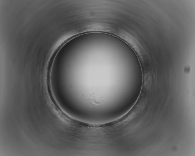 X0000095901043200801111205