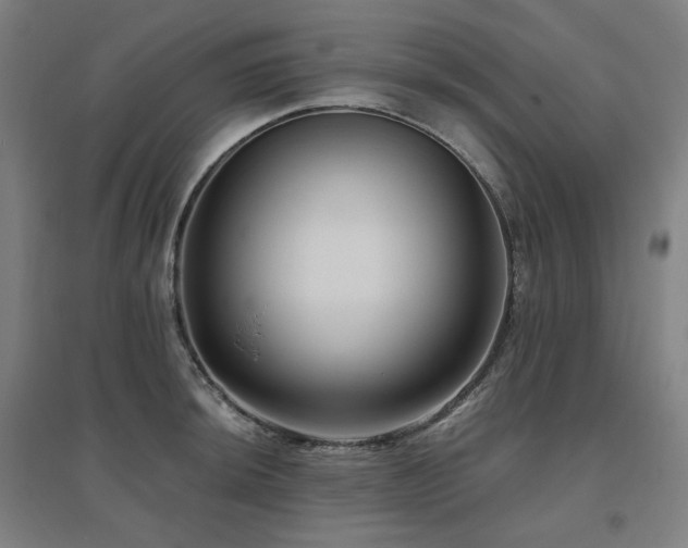 X0000095901044200801111205