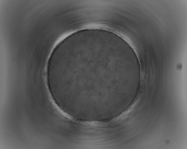 X0000095901045200801111205