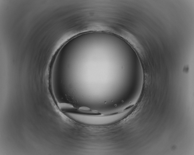 X0000095901046200801111205