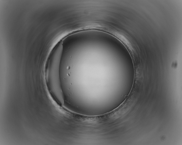 X0000095901047200801111205