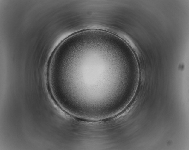 X0000095901048200801111205