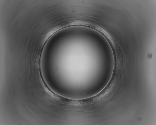 X0000095901049200801111205