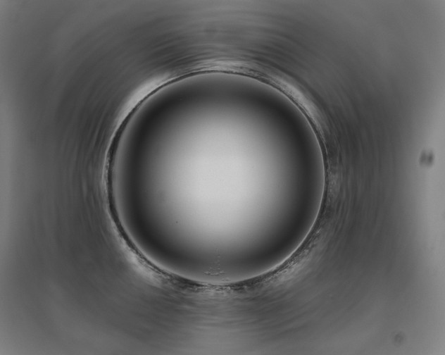 X0000095901050200801111205