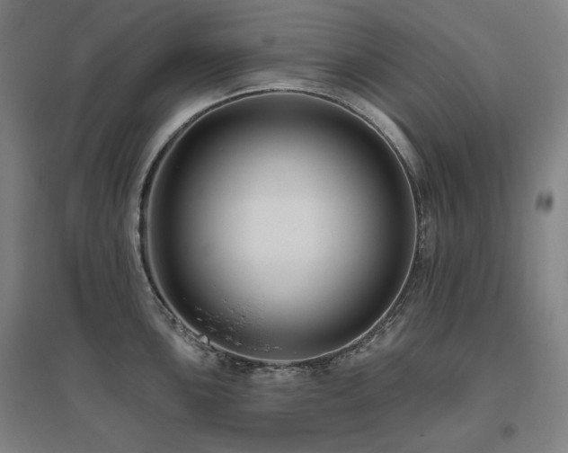 X0000095901051200801111205