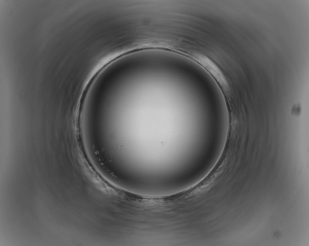 X0000095901052200801111205