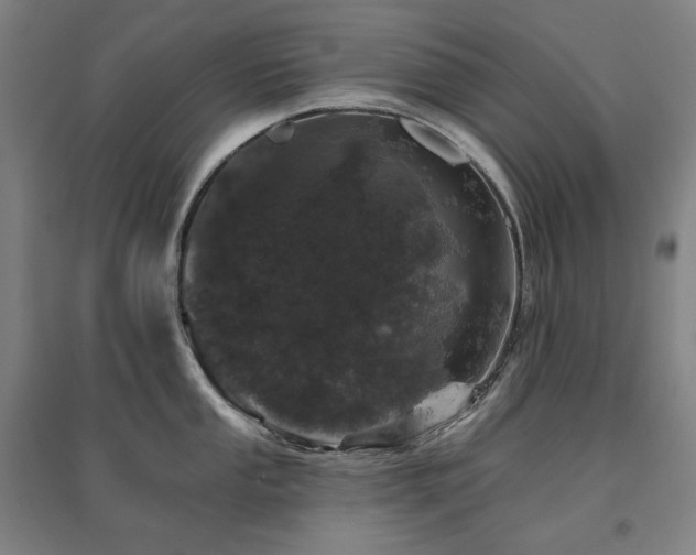 X0000095901053200801111205