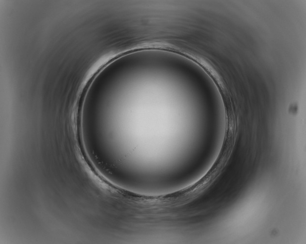 X0000095901054200801111205