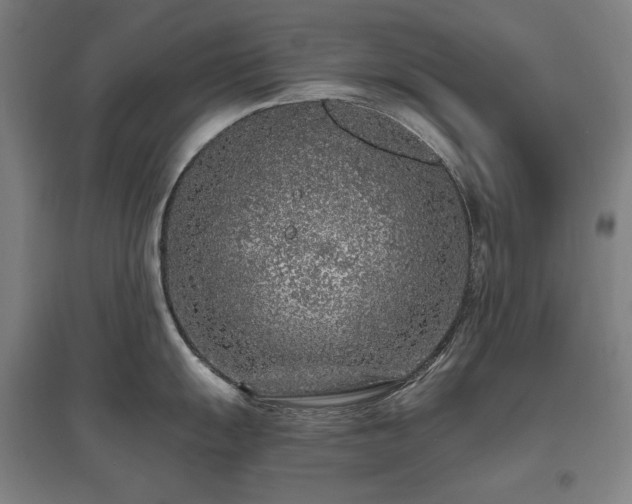 X0000095901055200801111205