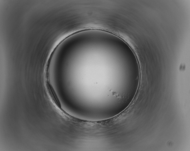 X0000095901056200801111205
