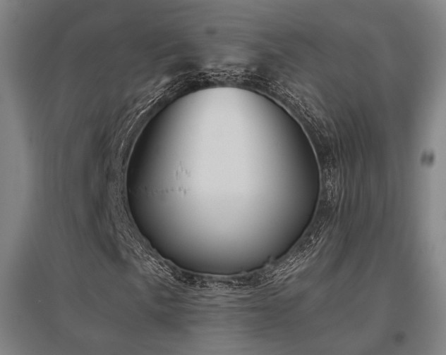 X0000095901057200801111204