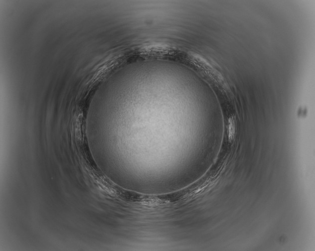 X0000095901059200801111204