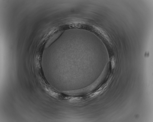 X0000095901060200801111204