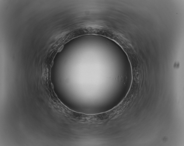 X0000095901061200801111204