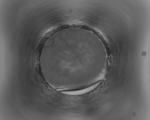 X0000095901063200801111204