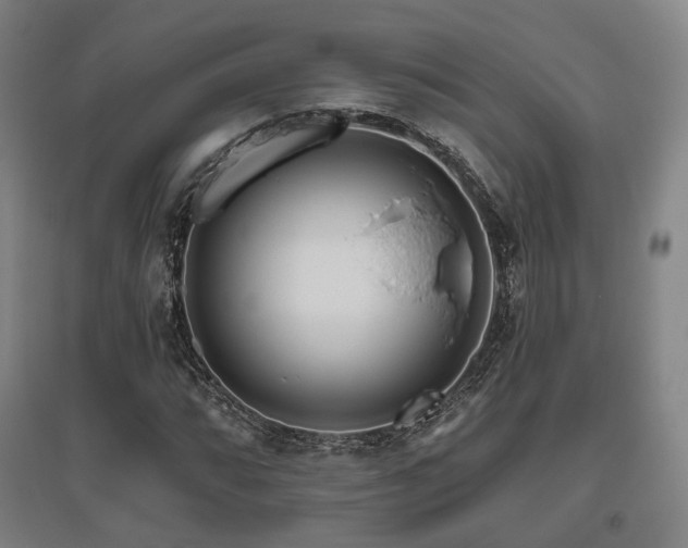 X0000095901064200801111204