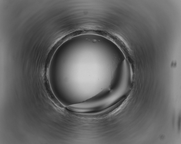 X0000095901065200801111204