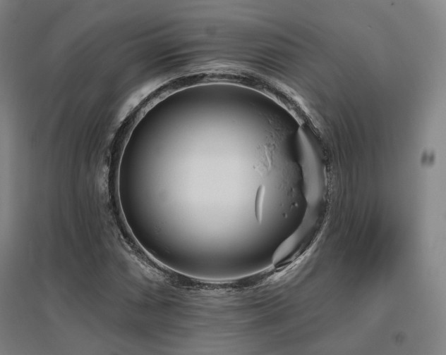 X0000095901066200801111204