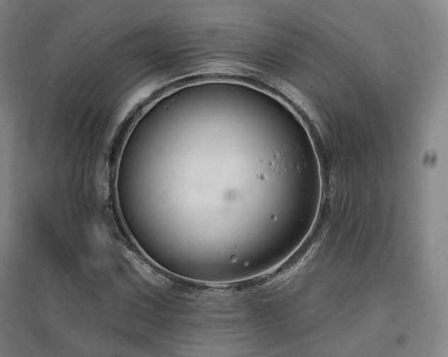 X0000095901067200801111204