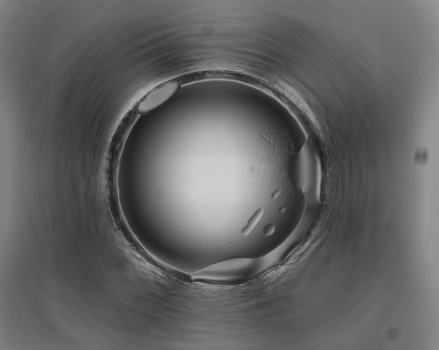 X0000095901068200801111204