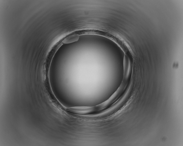 X0000095901069200801111204