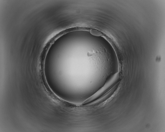 X0000095901070200801111204