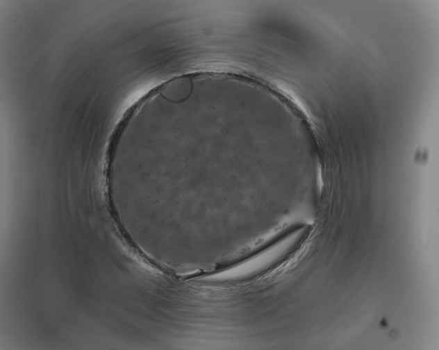 X0000095901071200801111204